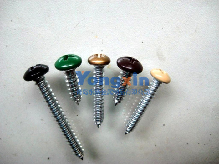 Paint Screw