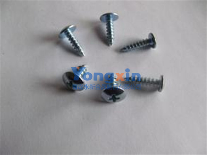 Self-Taping Screws