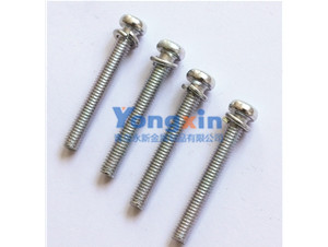 Assembled Screws