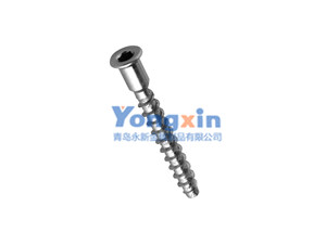 Furniture Screw